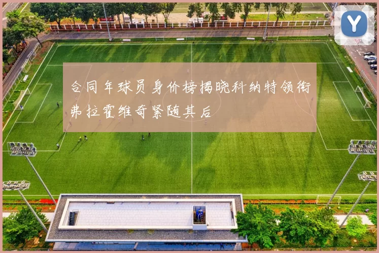 合同年球员身价榜揭晓科纳特领衔弗拉霍维奇紧随其后